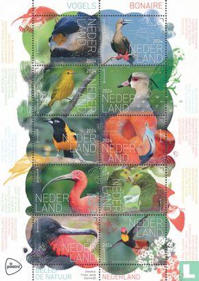 Beleef de natuur - Vogels Bonaire