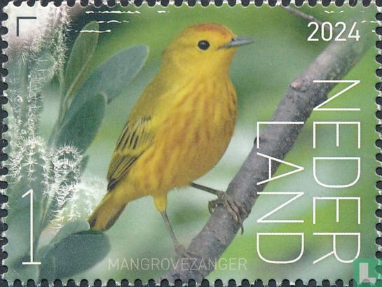Mangrovezanger