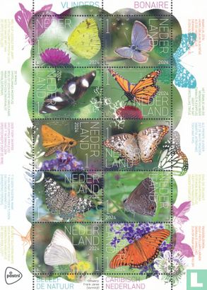 Vlinders Bonaire