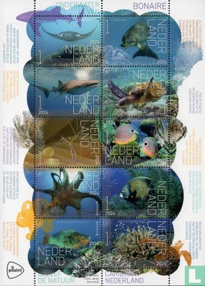 Beleef de natuur - Onderwaterleven Bonaire