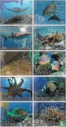 Beleef de natuur - Onderwaterleven Bonaire 