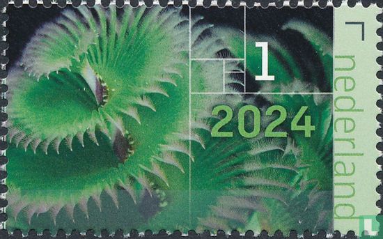 De vormentaal van de natuur 