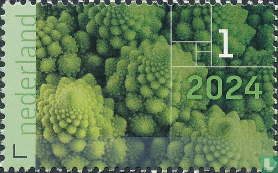 De vormentaal van de natuur 