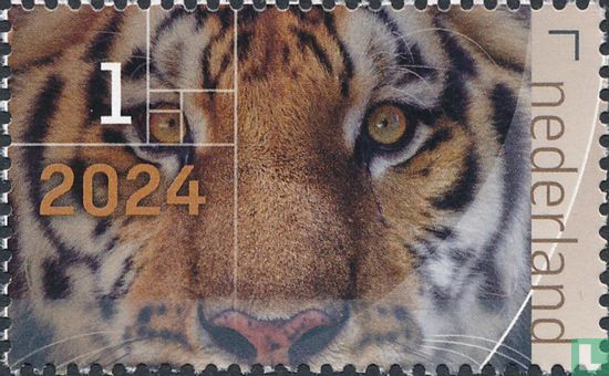 De vormentaal van de natuur 