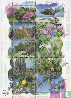 Flora Bonaire