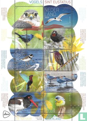 Beleef de natuur - Vogels Sint Eustatius