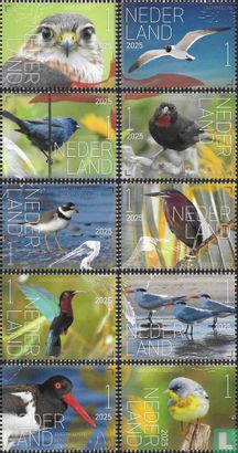 Vogels Sint Eustatius