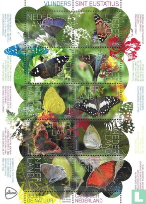 Vlinders Sint Eustatius