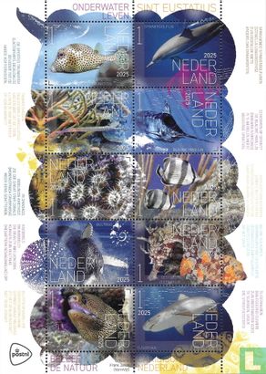 Onderwaterleven Sint Eustatius