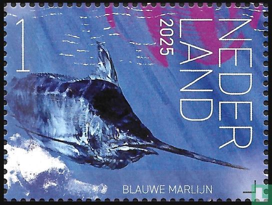Blauwe marlijn 