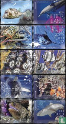 Onderwaterleven Sint Eustatius 