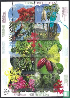 Flora Sint Eustatius