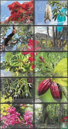 Flora Sint Eustatius 