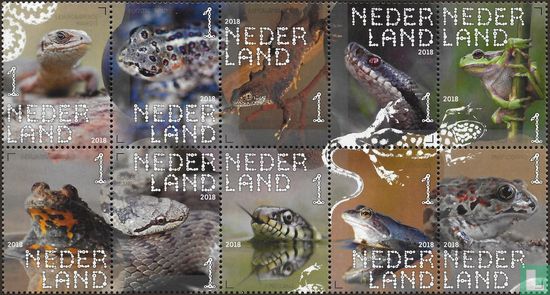 Reptielen en amfibieën