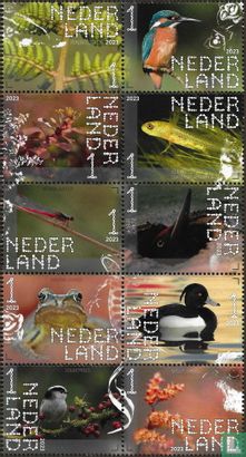 Oisterwijkse bossen en vennen 