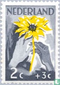 Nederland helpt Indië