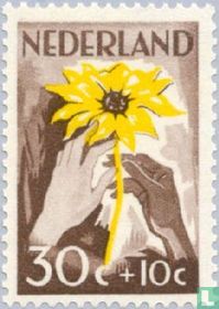 Nederland helpt Indië