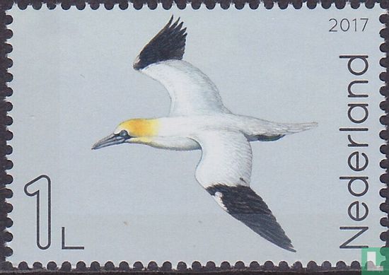 Leven in de Noordzee