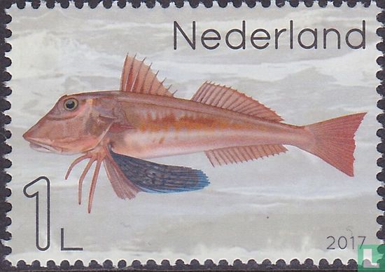 Leven in de Noordzee