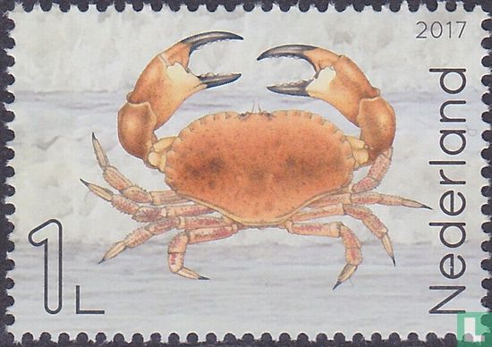 Leven in de Noordzee