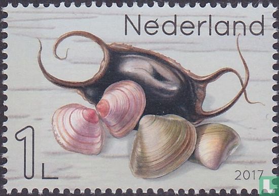 Leven in de Noordzee