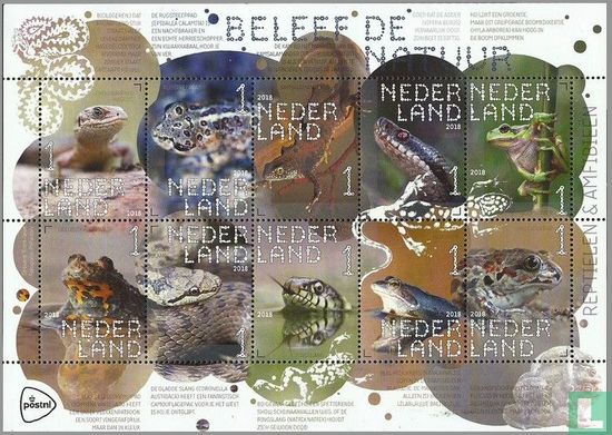 Reptielen en amfibieën