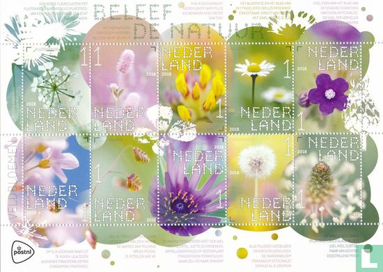 Beleef de Natuur - Veldbloemen