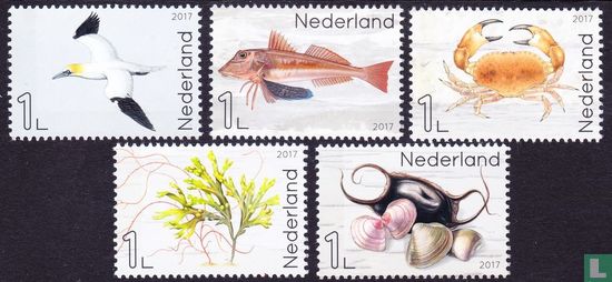 Leven in de Noordzee