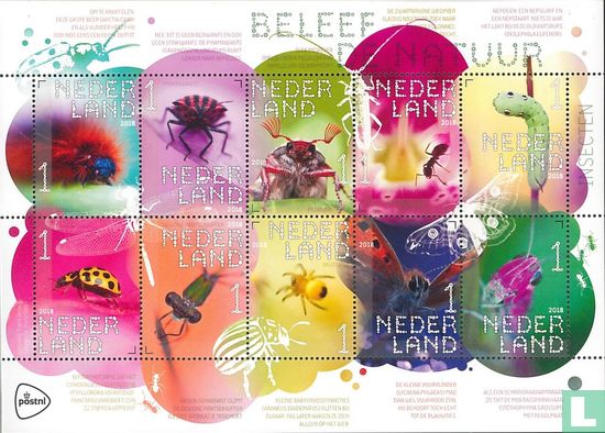 Beleef de Natuur - Insecten