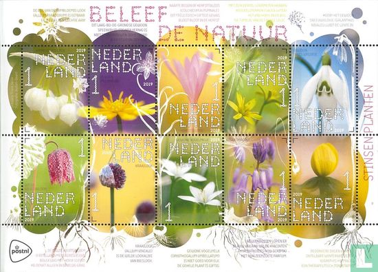 Beleef de Natuur - Stinsenplanten