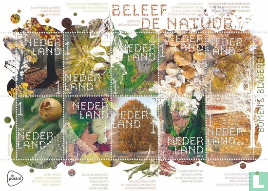 Beleef de natuur - Bomen en bladeren