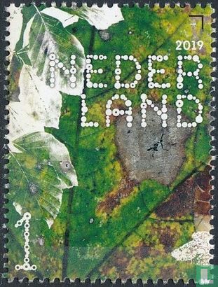 Verterend herfstblad