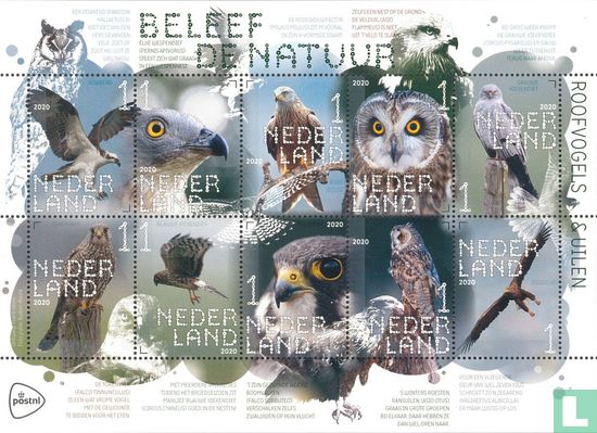 Beleef de Natuur - Roofvogels en Uilen