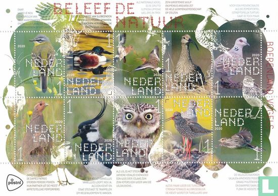 Beleef de Natuur - Boerenlandvogels