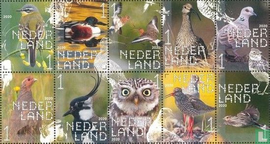 Beleef de Natuur - Boerenlandvogels