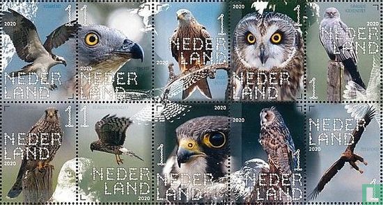 Beleef de Natuur - Roofvogels en Uilen