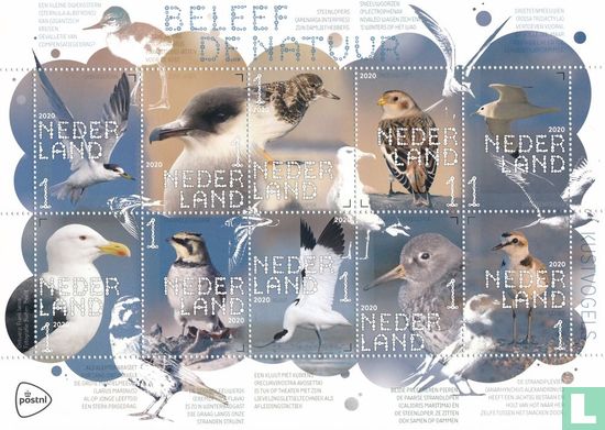 Beleef de Natuur - Kustvogels