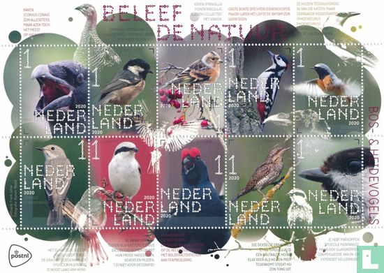 Beleef de Natuur - Bos- & heidevogels