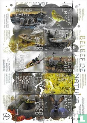 Beleef de Natuur - Dwingelderveld