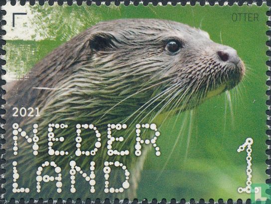 Otter