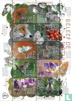 Beleef de Natuur - Duin en Kruidberg