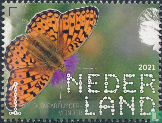 Duinparelmoervlinder