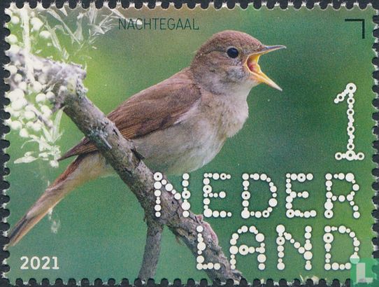 Nachtegaal