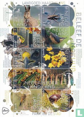 Beleef de natuur - Landgoed Haarzuilens