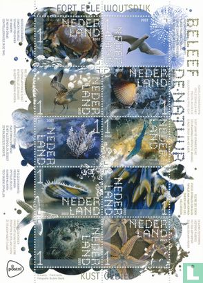 Beleef de natuur - Fort Ellewoutsdijk