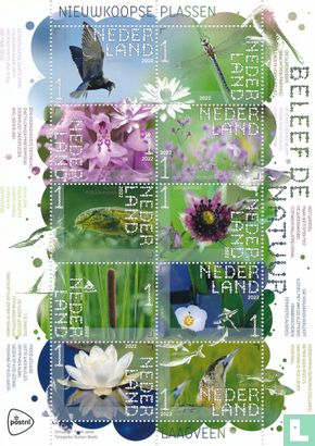 Beleef de natuur - Nieuwkoopse plassen