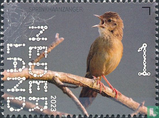 Sprinkhaanzanger