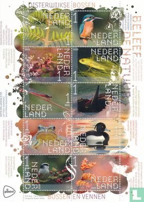 Beleef de natuur - Oisterwijkse bossen en vennen